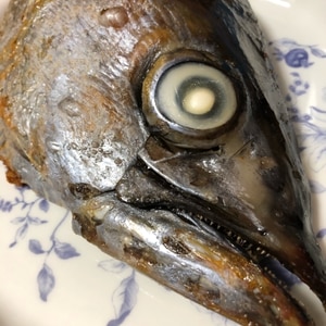 まぐろの兜焼き